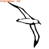 Albatros en vol figé sur une image adhésive par atomisticker.