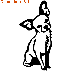 Zlook star avec un sticker chihuahua (atomistickers dog).