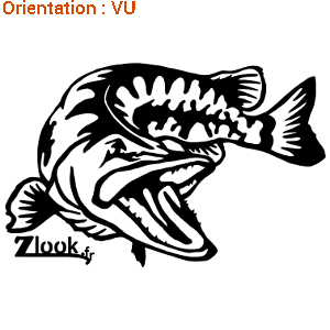 Zlook dessine un brochet en position d'attaque en sticker.