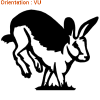 Sticker autocollant lapin de garenne est maintenant en ligne sur atomistickers !