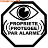 Acheter sur le site atomistickers.fr sécurité stickers surveillance original sticker pare-brise anti-cambriolage.